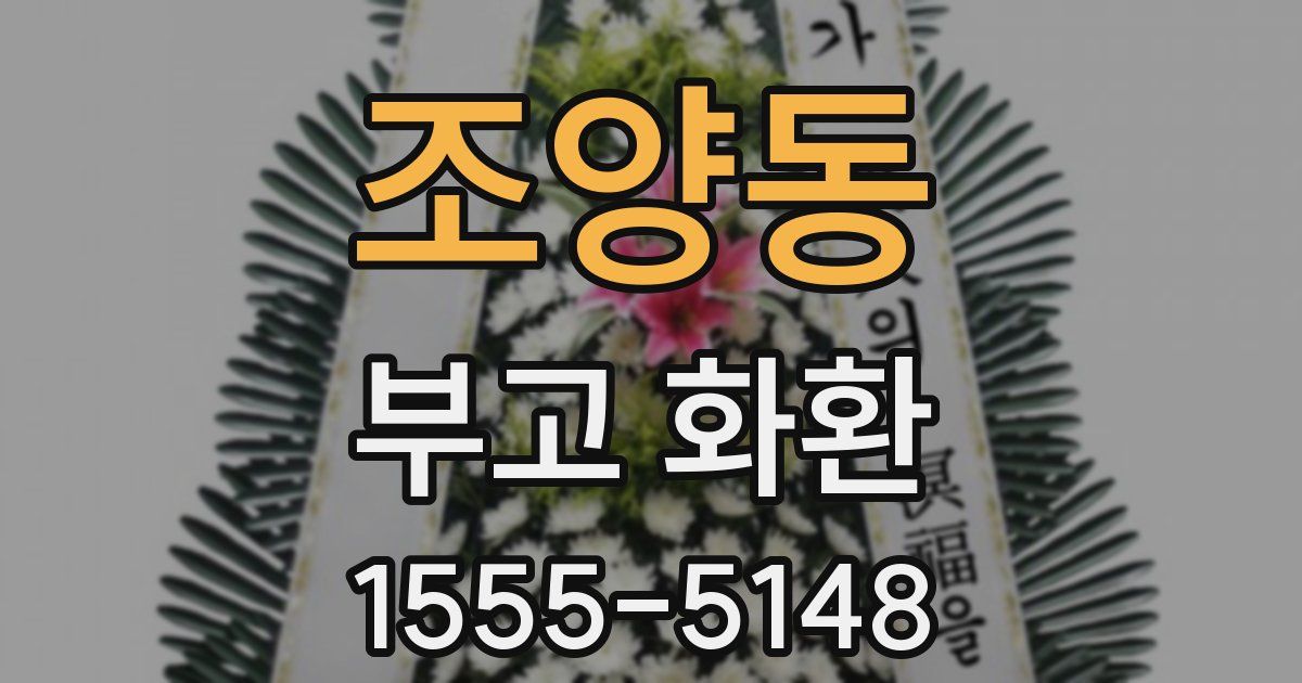 조양동 부고 화환