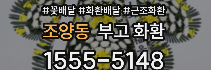 조양동 부고 화환