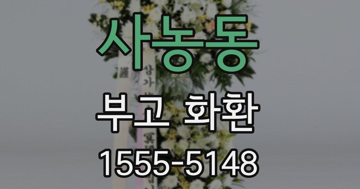 사농동 부고 화환