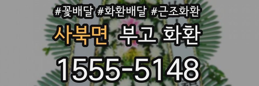 사북면 부고 화환