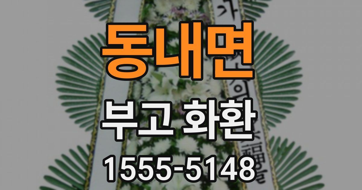 동내면 부고 화환