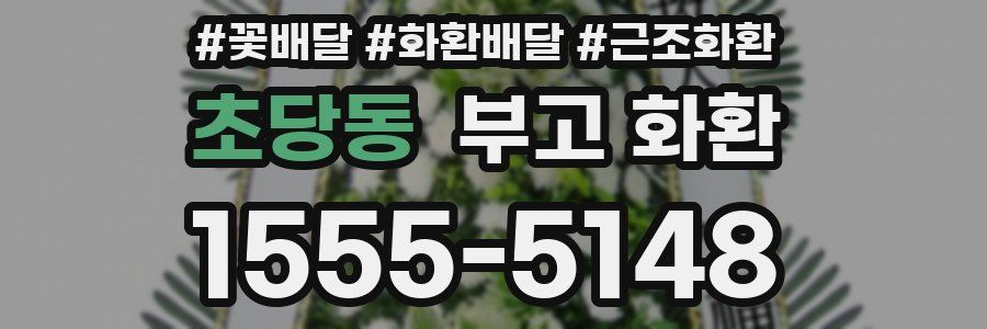 초당동 부고 화환