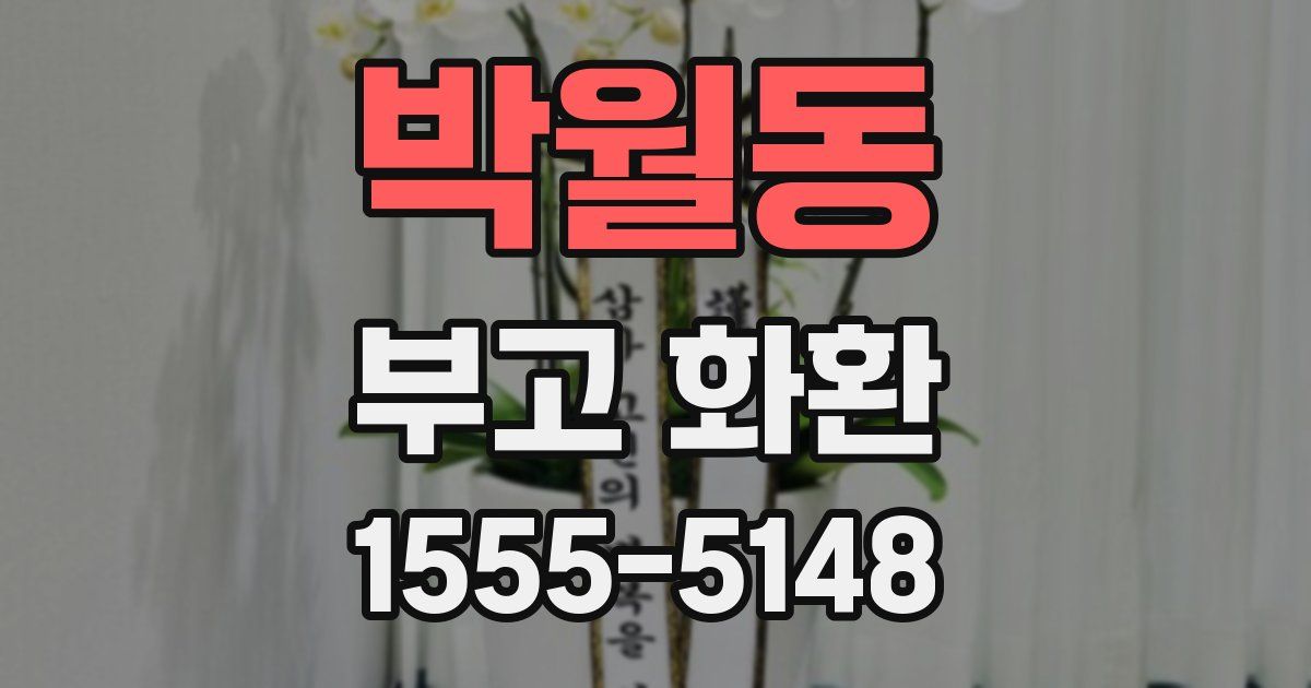 박월동 부고 화환