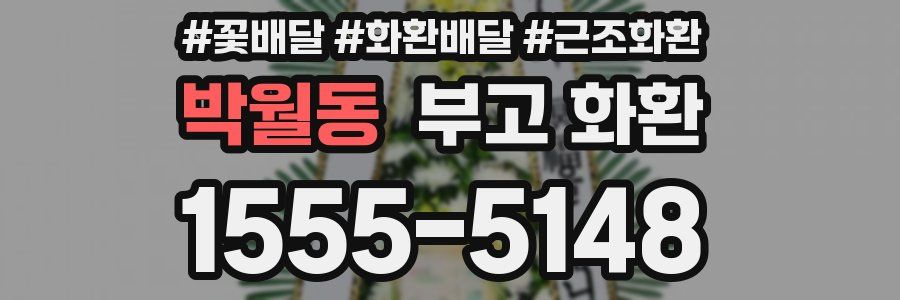 박월동 부고 화환