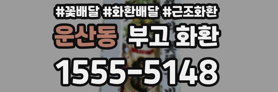 운산동 부고 화환