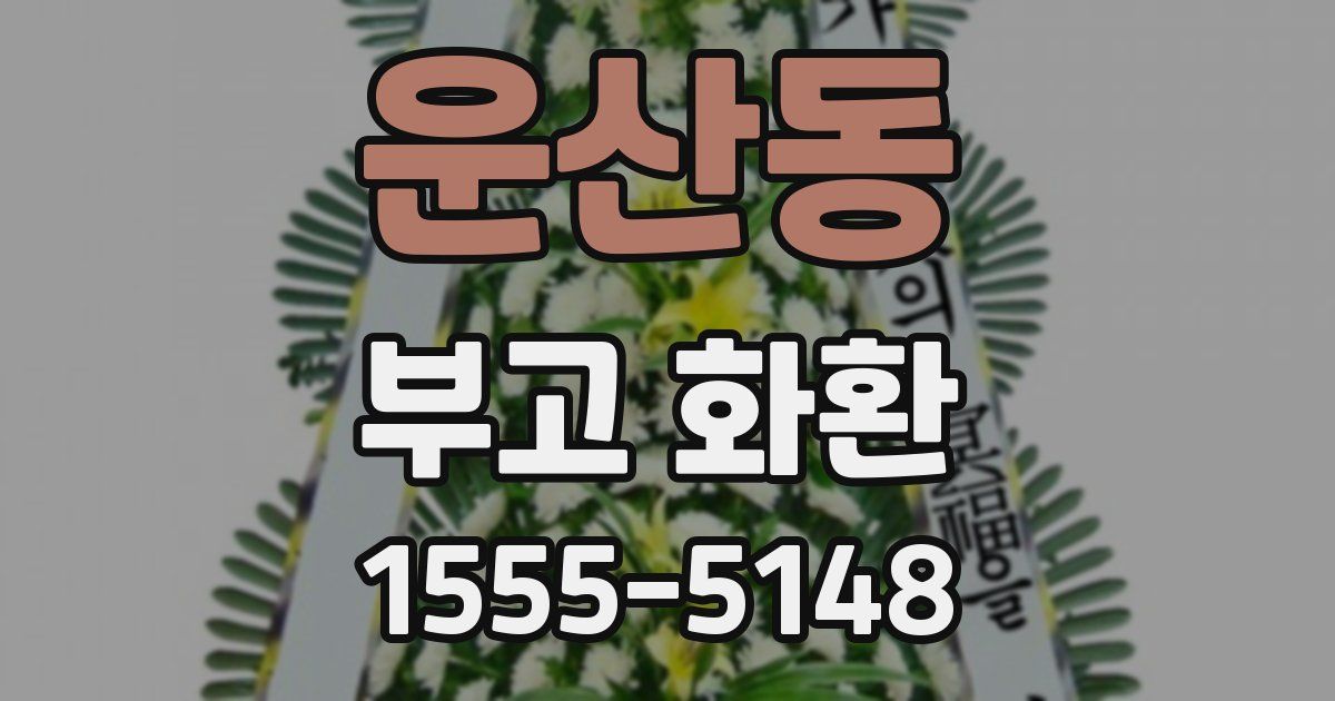 운산동 부고 화환