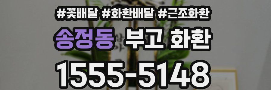 송정동 부고 화환