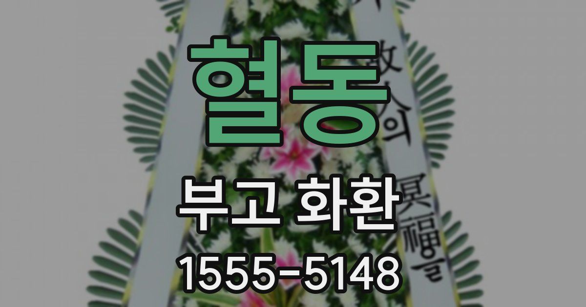 혈동 부고 화환