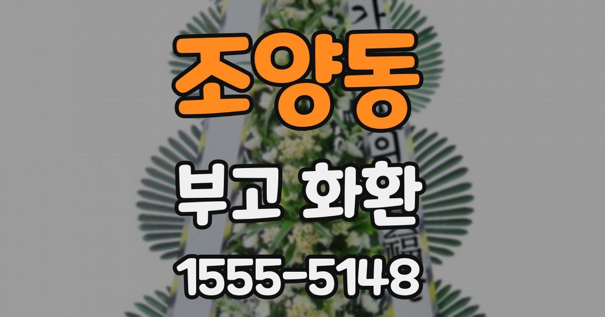 조양동 부고 화환