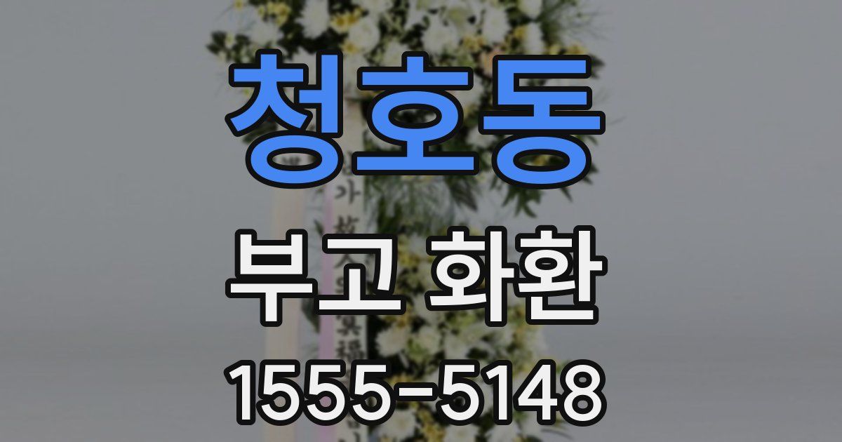 청호동 부고 화환