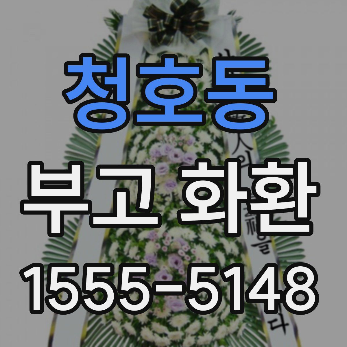 청호동 부고 화환