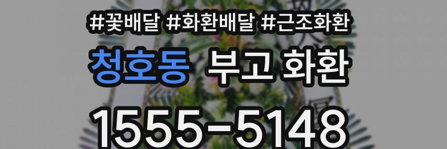 청호동 부고 화환