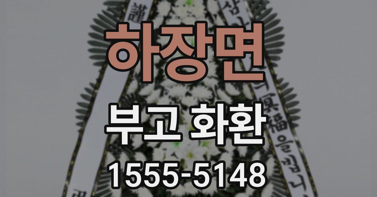 하장면 부고 화환