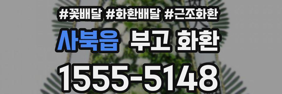 사북읍 부고 화환