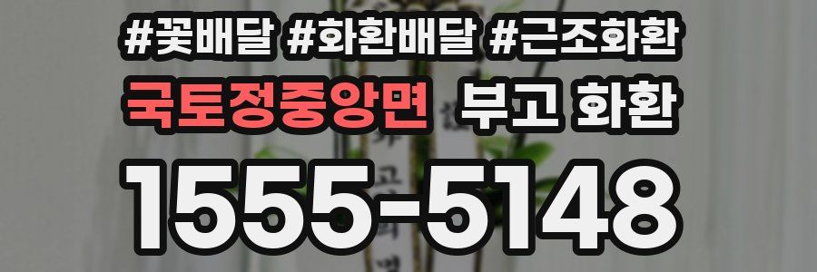 국토정중앙면 부고 화환