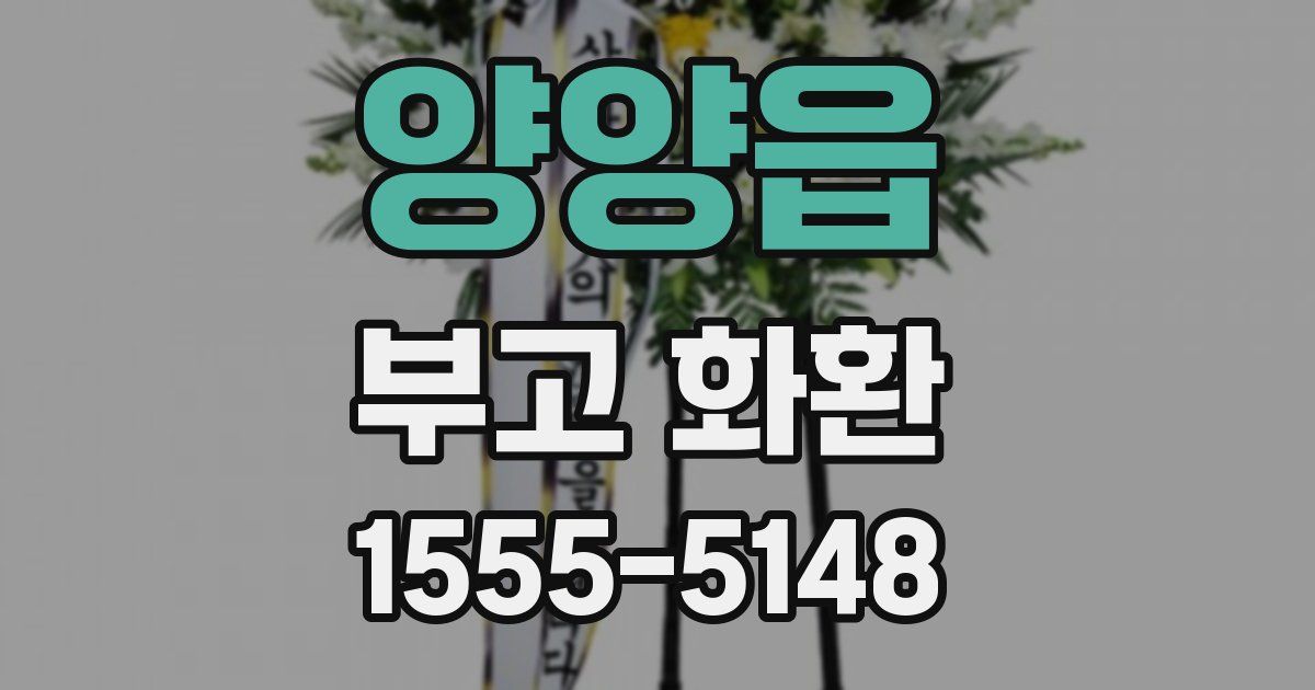 양양읍 부고 화환