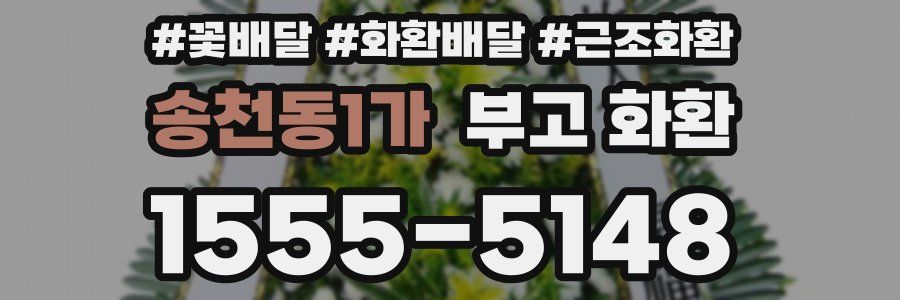 송천동1가 부고 화환