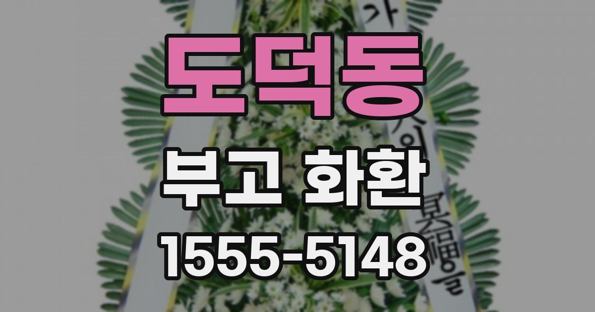 도덕동 부고 화환