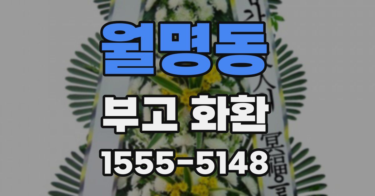 월명동 부고 화환