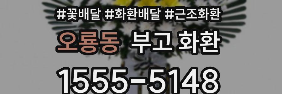 오룡동 부고 화환