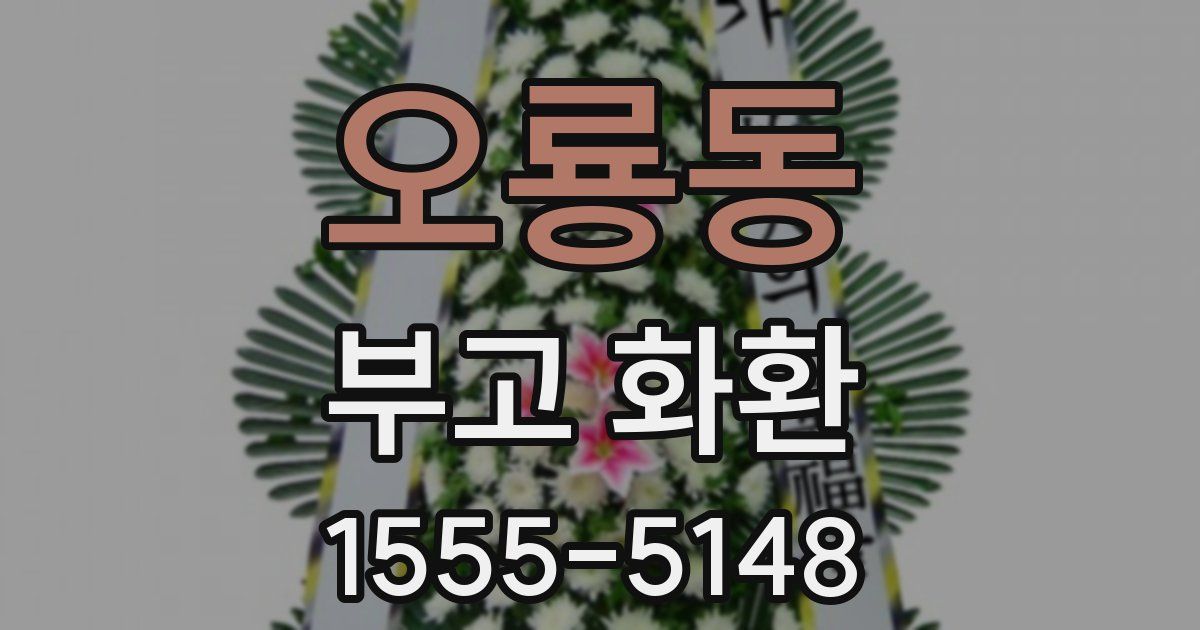 오룡동 부고 화환