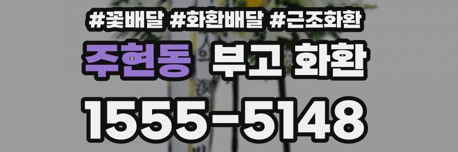주현동 부고 화환