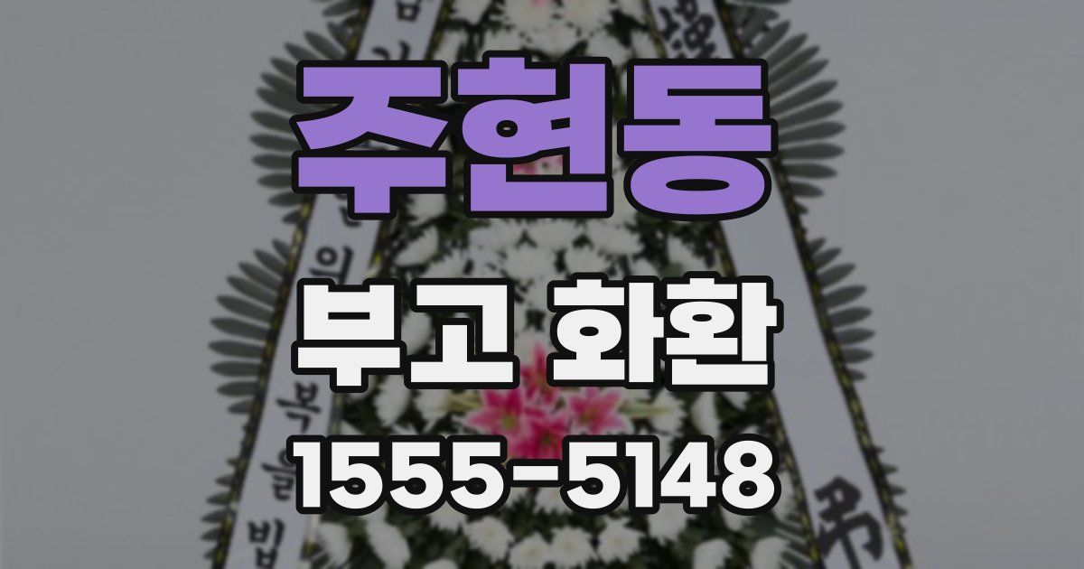 주현동 부고 화환