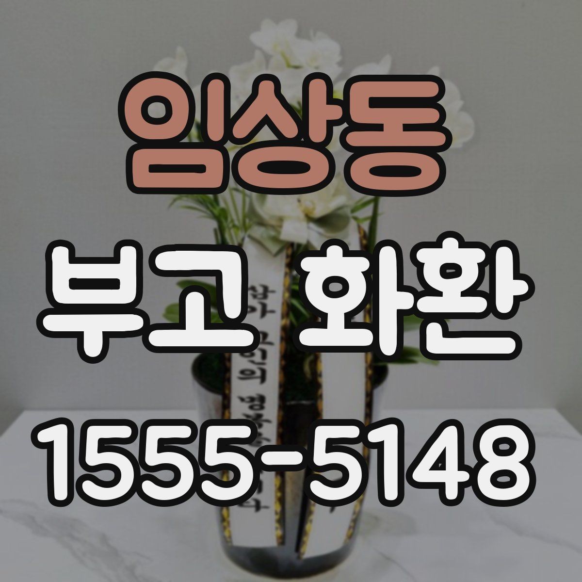 임상동 부고 화환 상황에 맞는 선택 기준 모음