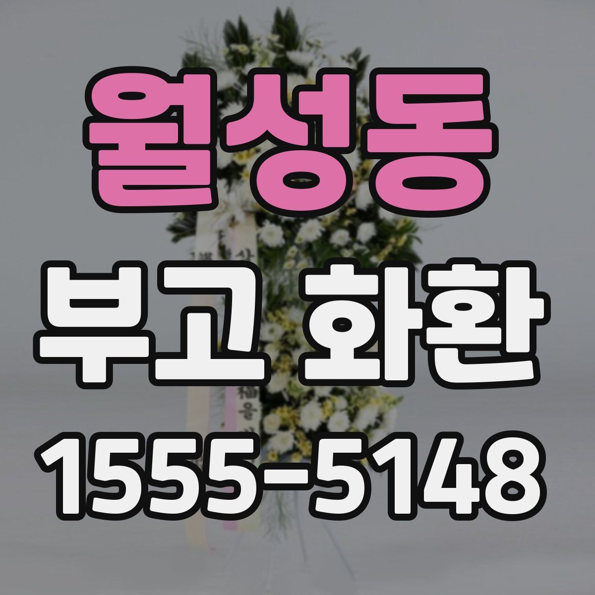 월성동 부고 화환