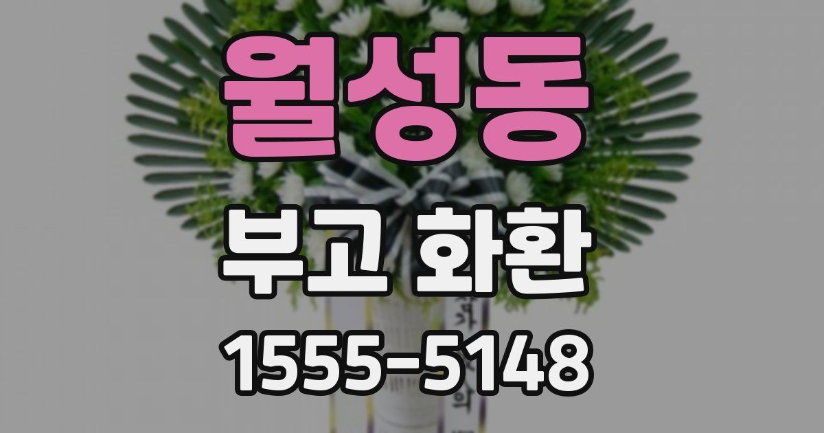 월성동 부고 화환