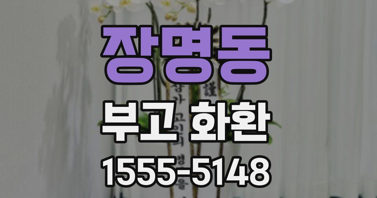 장명동 부고 화환