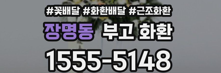 장명동 부고 화환