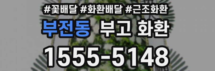 부전동 부고 화환