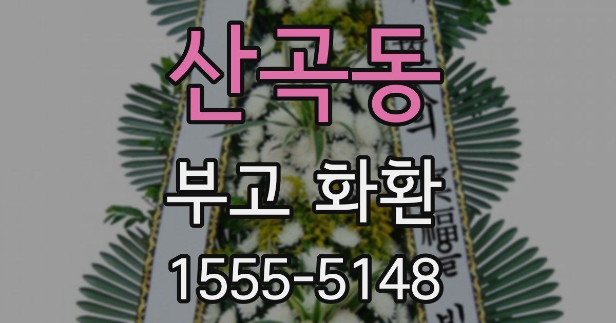 산곡동 부고 화환