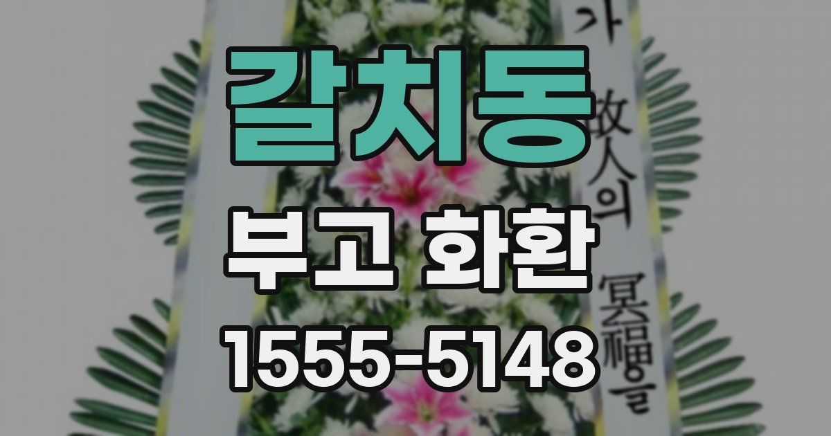 갈치동 부고 화환