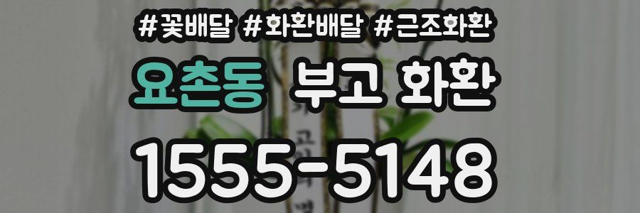요촌동 부고 화환