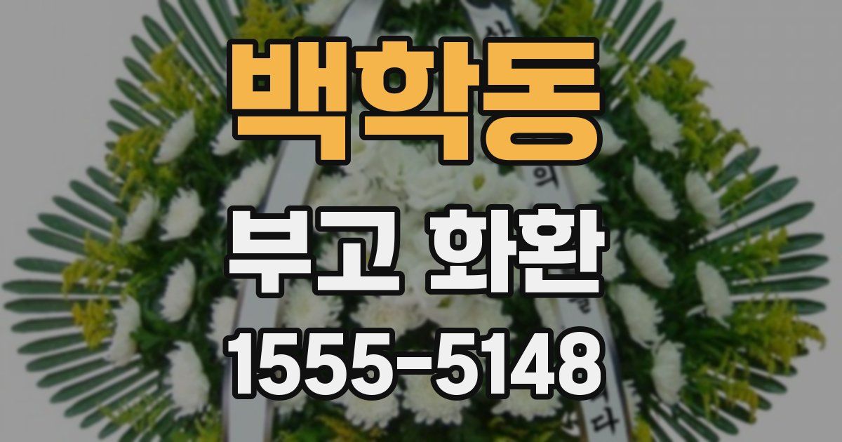 백학동 부고 화환