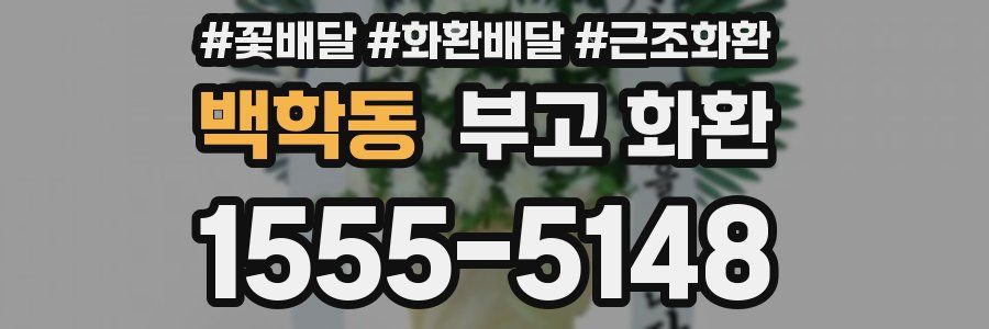백학동 부고 화환