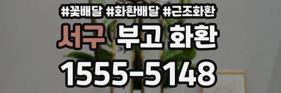 서구 부고 화환