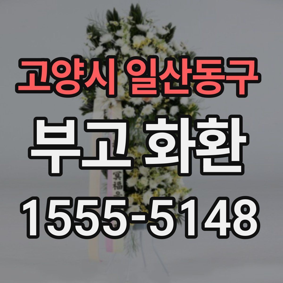 고양시 일산동구 부고 화환 지역별 서비스 범위