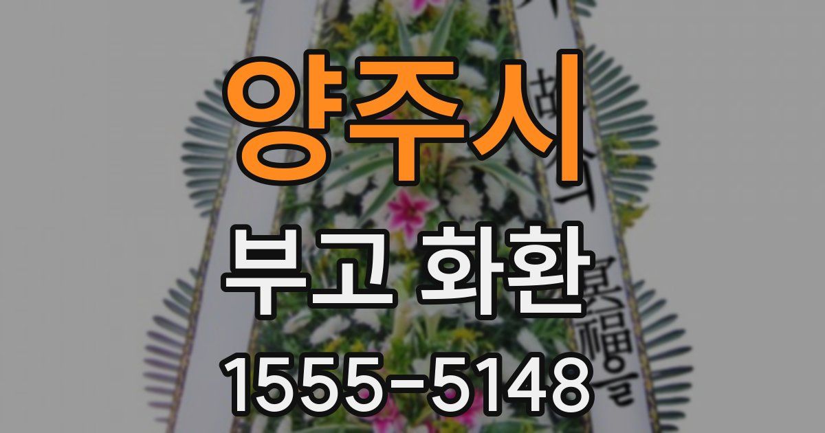 양주시 부고 화환