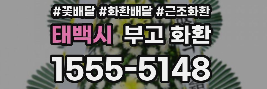 태백시 부고 화환