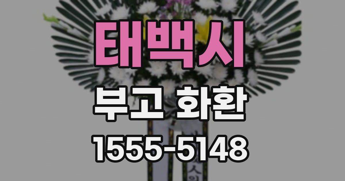 태백시 부고 화환