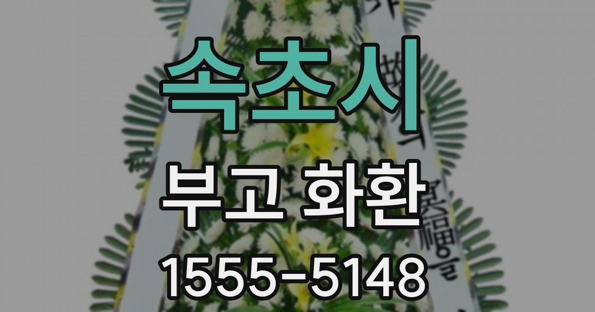 속초시 부고 화환