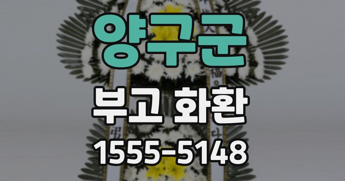 양구군 부고 화환