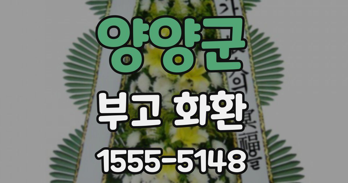 양양군 부고 화환