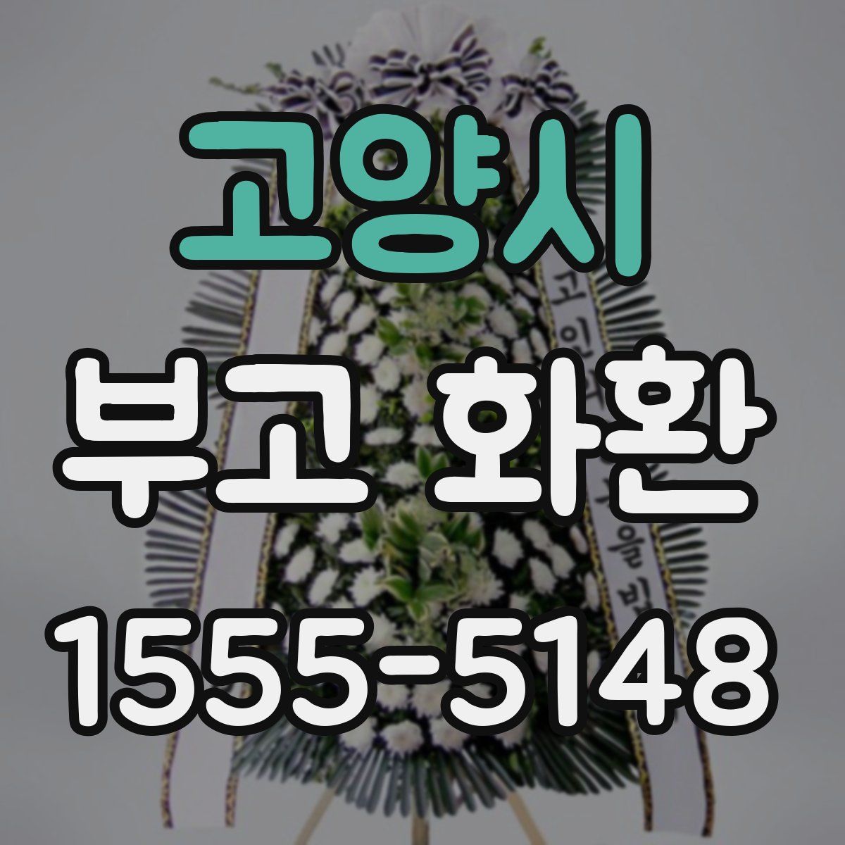 고양시 부고 화환
