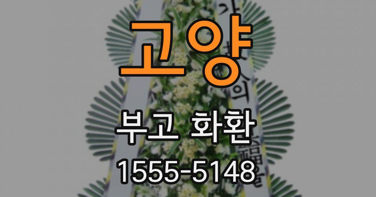 고양 부고 화환