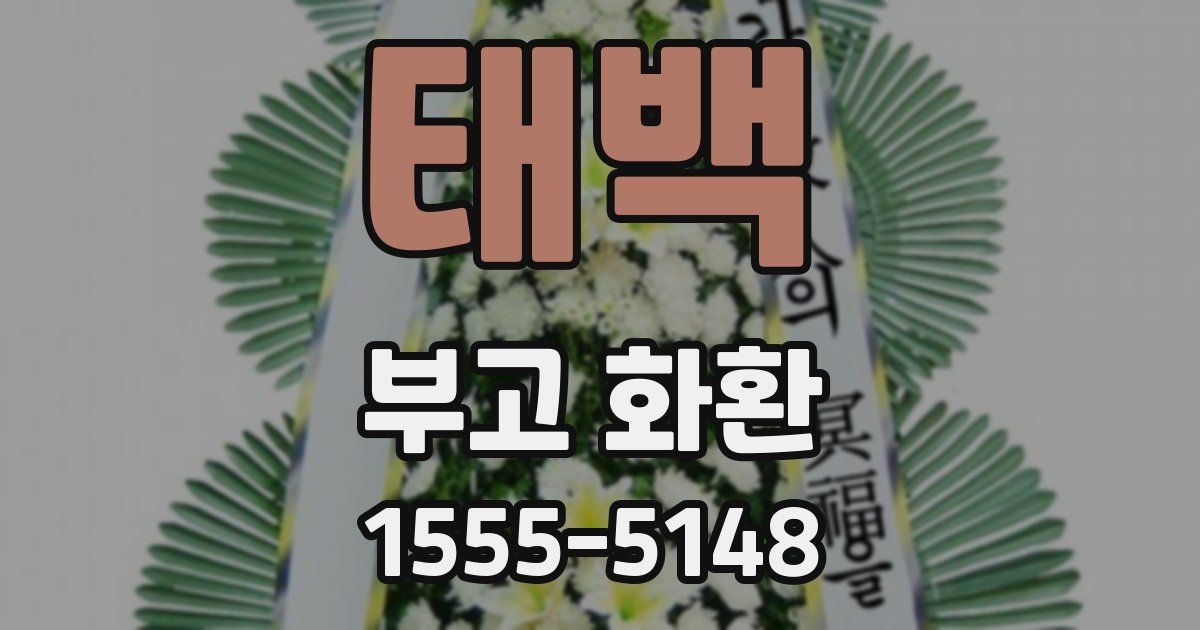 태백 부고 화환