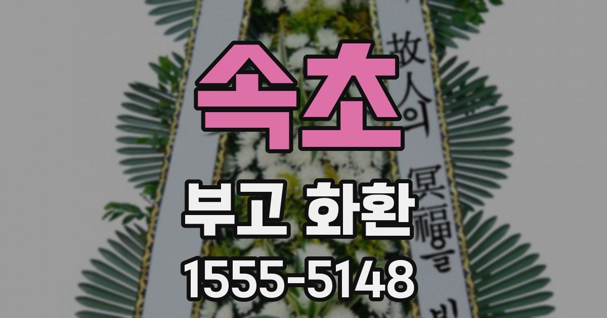 속초 부고 화환